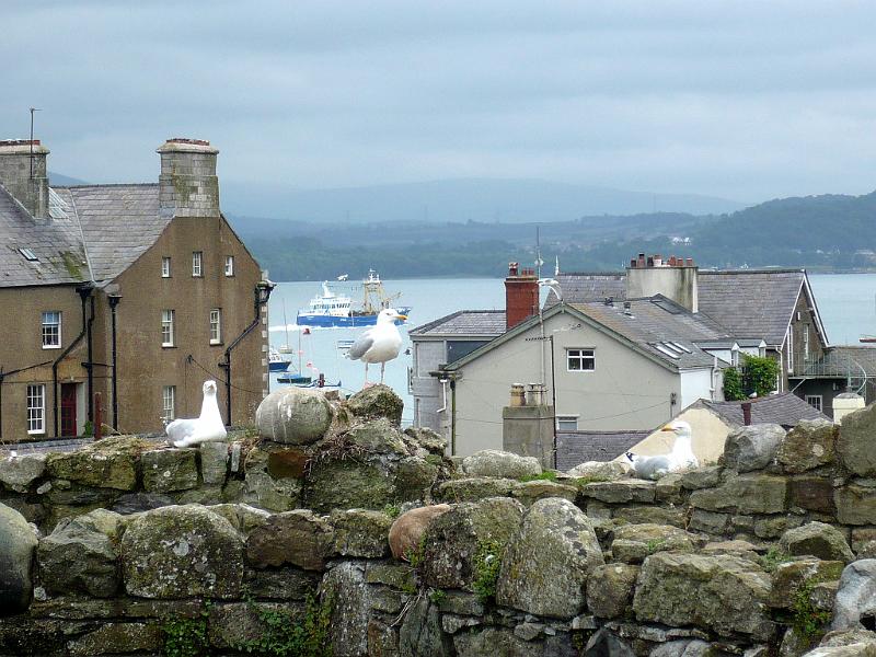 Wales (205).JPG